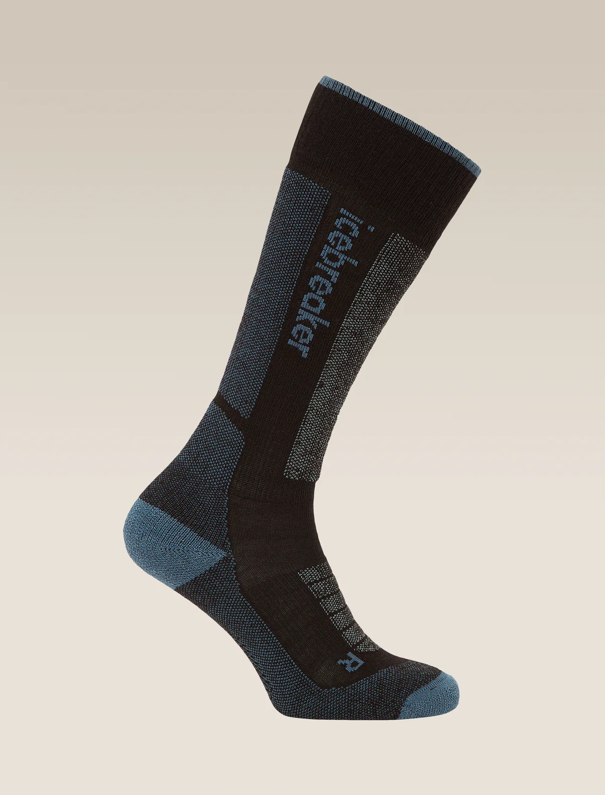 Icebreaker Dames skisokken Light Cushion Zwart